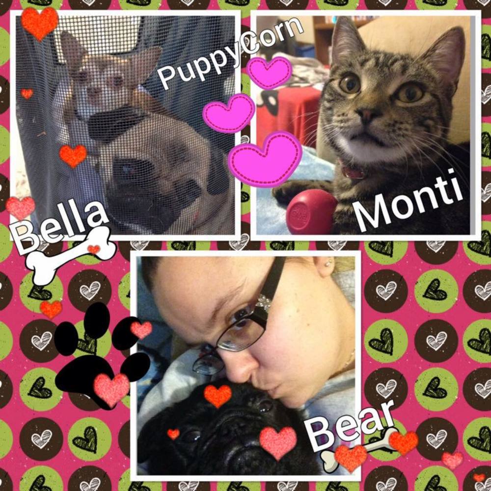 Meet your Posher, Jessica